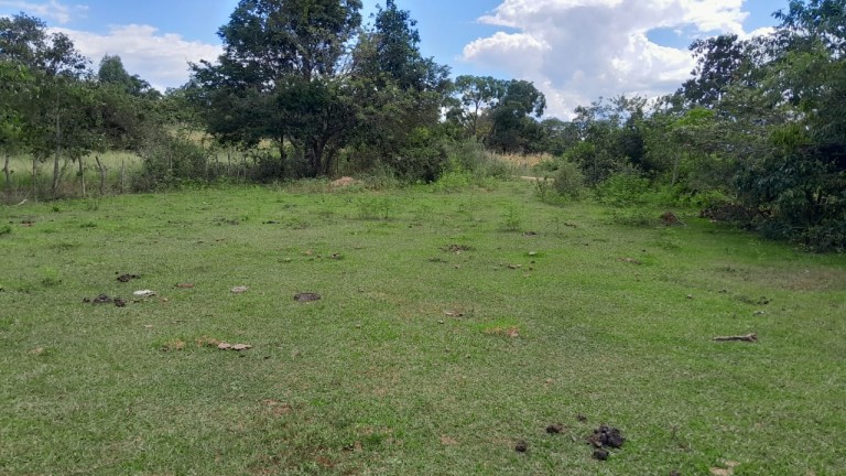 FAZENDA DE 1.000 HA EM MINAS GERAIS