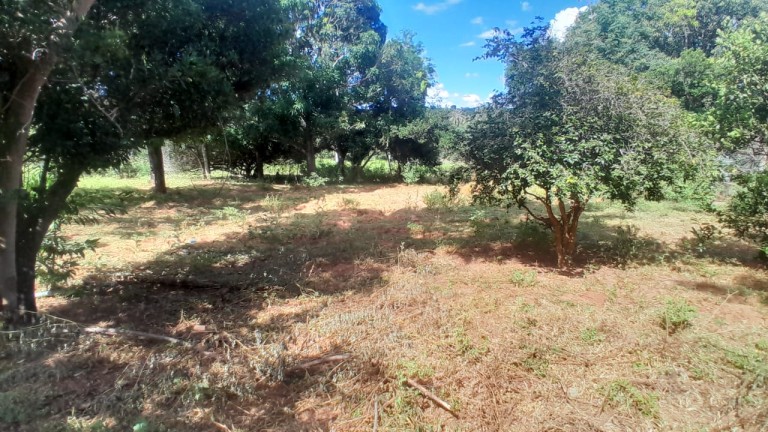 FAZENDA DE 1.000 HA EM MINAS GERAIS