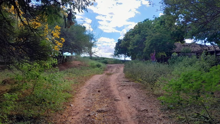 FAZENDA DE 1.000 HA EM MINAS GERAIS