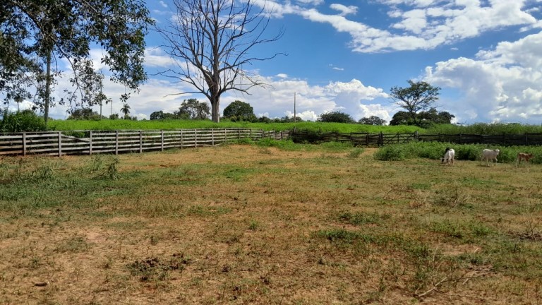 FAZENDA DE 1.000 HA EM MINAS GERAIS