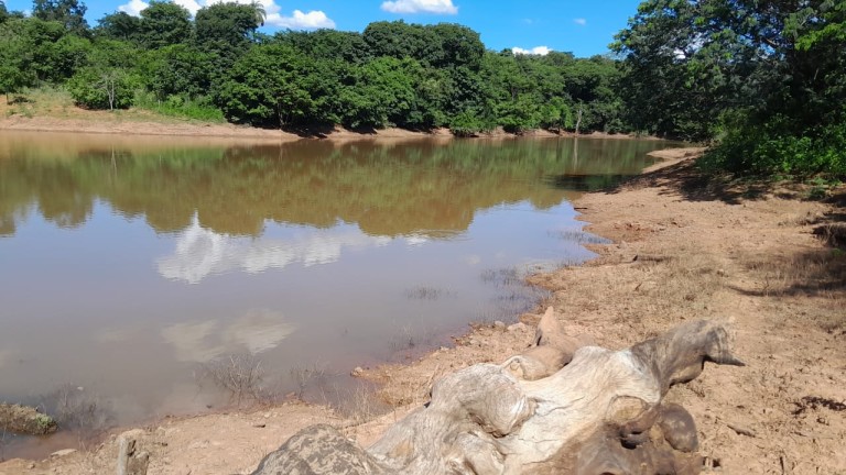 FAZENDA DE 1.000 HA EM MINAS GERAIS