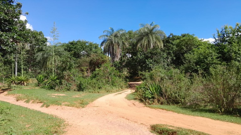 FAZENDA DE 1.000 HA EM MINAS GERAIS