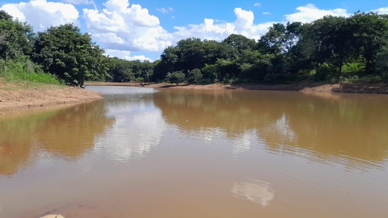 FAZENDA DE 1.000 HA EM MINAS GERAIS