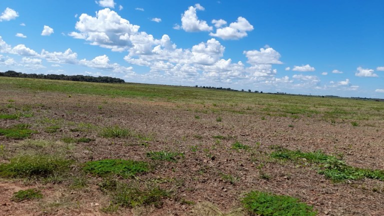 FAZENDA DE 1.740 HA NO TOCANTINS