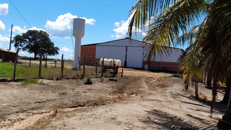 FAZENDA DE 1.740 HA NO TOCANTINS