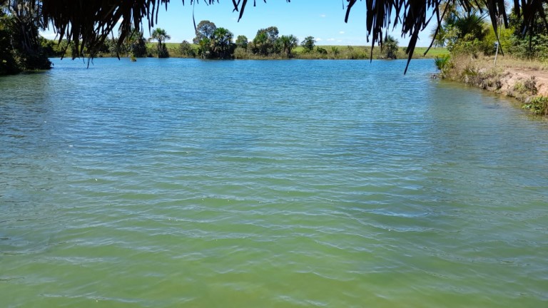 FAZENDA DE 1.740 HA NO TOCANTINS