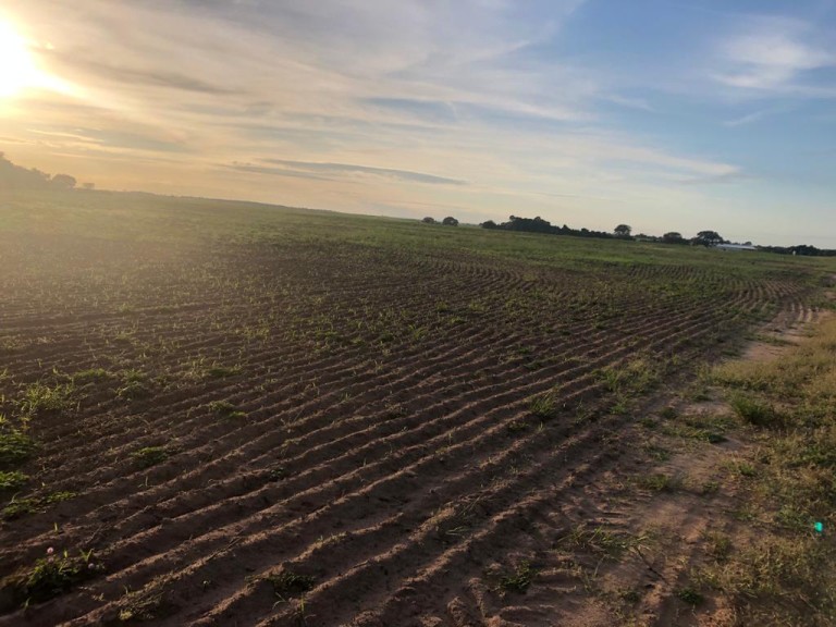 FAZENDA DE 1.740 HA NO TOCANTINS
