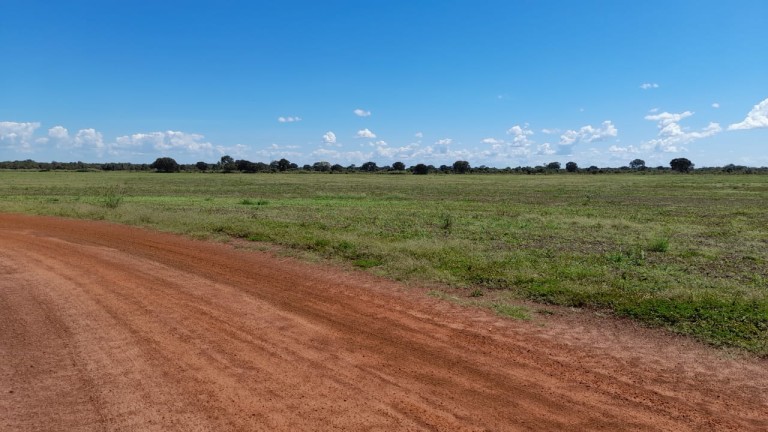 FAZENDA DE 1.740 HA NO TOCANTINS