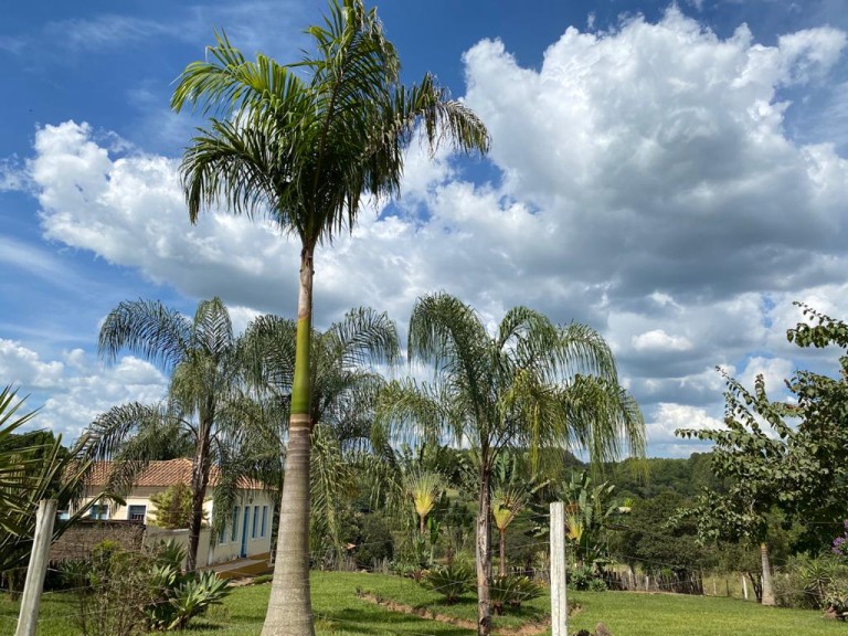 FAZENDA PORTEIRA FECHADA DE 37 HA