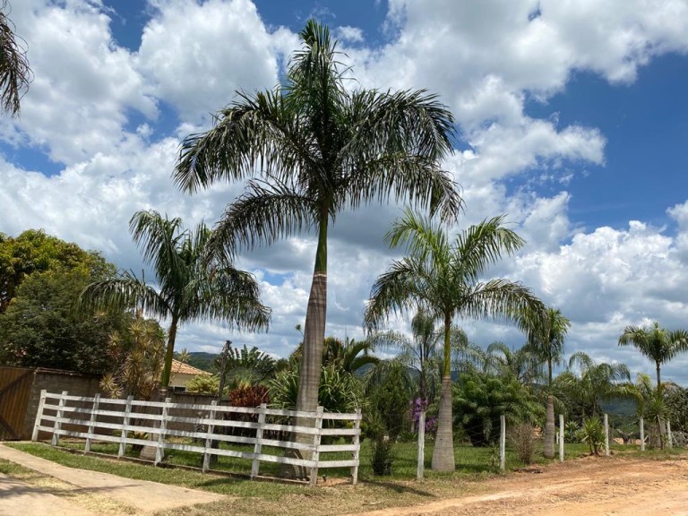 FAZENDA PORTEIRA FECHADA DE 37 HA