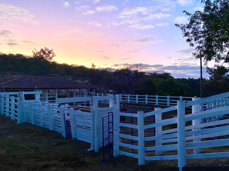 FAZENDA PORTEIRA FECHADA DE 37 HA