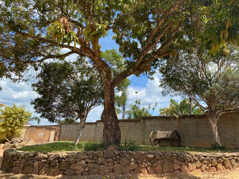 FAZENDA PORTEIRA FECHADA DE 37 HA