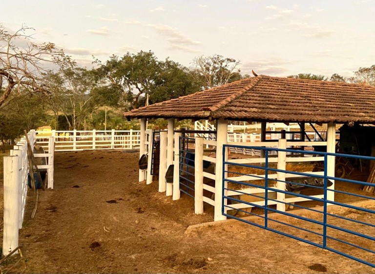 FAZENDA PORTEIRA FECHADA DE 37 HA