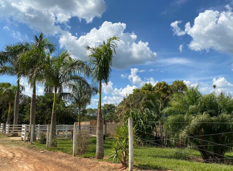 FAZENDA PORTEIRA FECHADA DE 37 HA