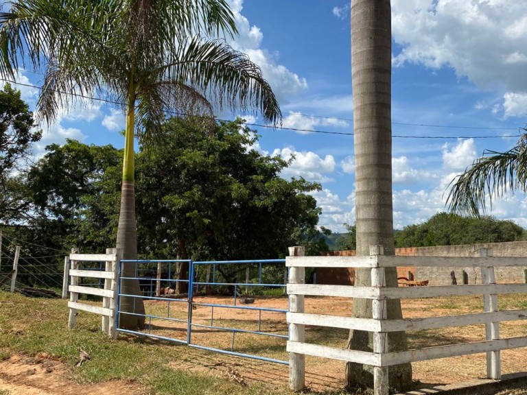 FAZENDA PORTEIRA FECHADA DE 37 HA