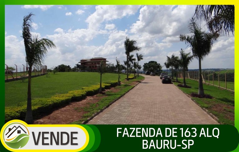 FAZENDA PORTEIRA FECHADA DE 163 ALQUEIRES