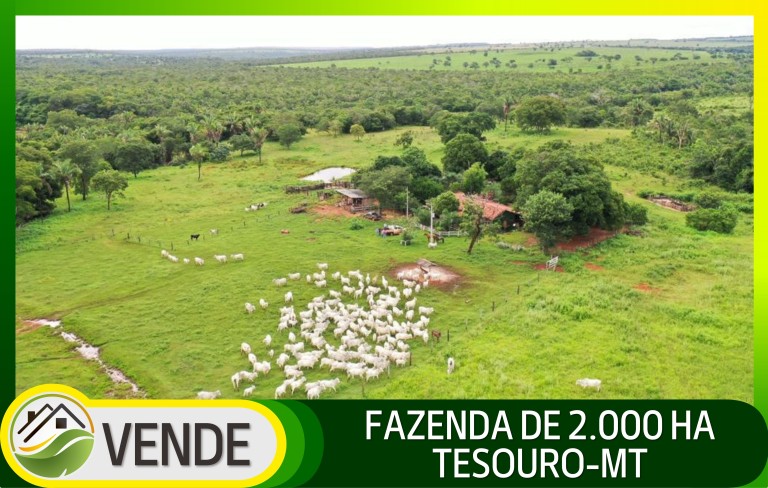 FAZENDA DE 2.000 HA NO MATO GROSSO