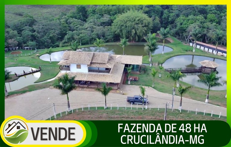 FAZENDA 48 HA EM MINAS GERAIS