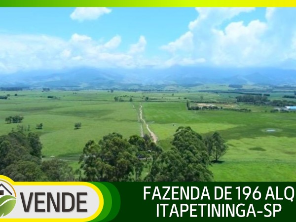 FAZENDA DE 196 ALQUEIRES EM SÃO PAULO