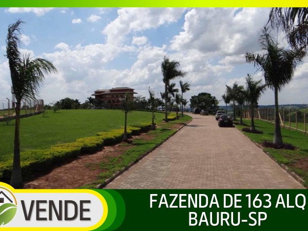 FAZENDA PORTEIRA FECHADA DE 163 ALQUEIRES