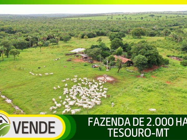 FAZENDA DE 2.000 HA NO MATO GROSSO