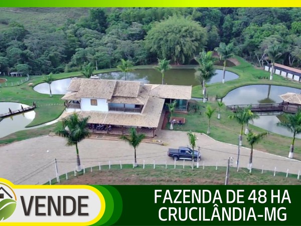FAZENDA 48 HA EM MINAS GERAIS