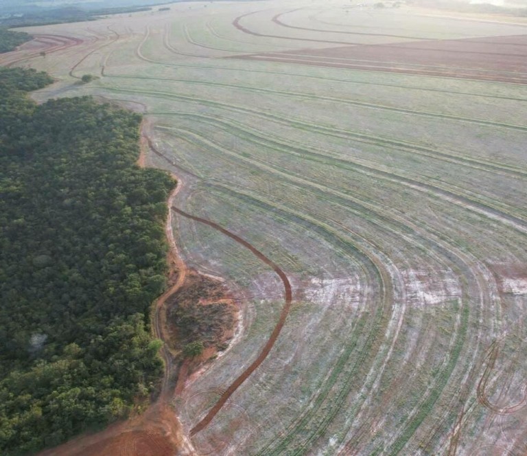 FAZENDA DE 4.780 HA NO MATO GROSSO