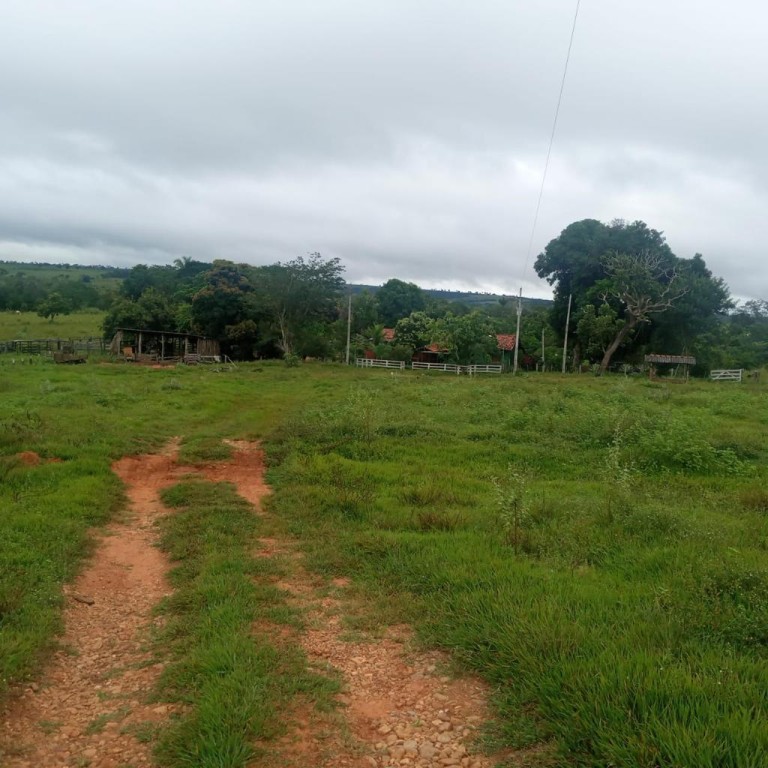 FAZENDA DE 2.000 HA NO MATO GROSSO