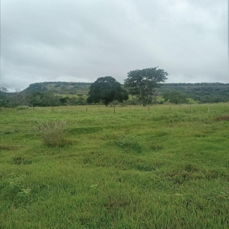 FAZENDA DE 2.000 HA NO MATO GROSSO