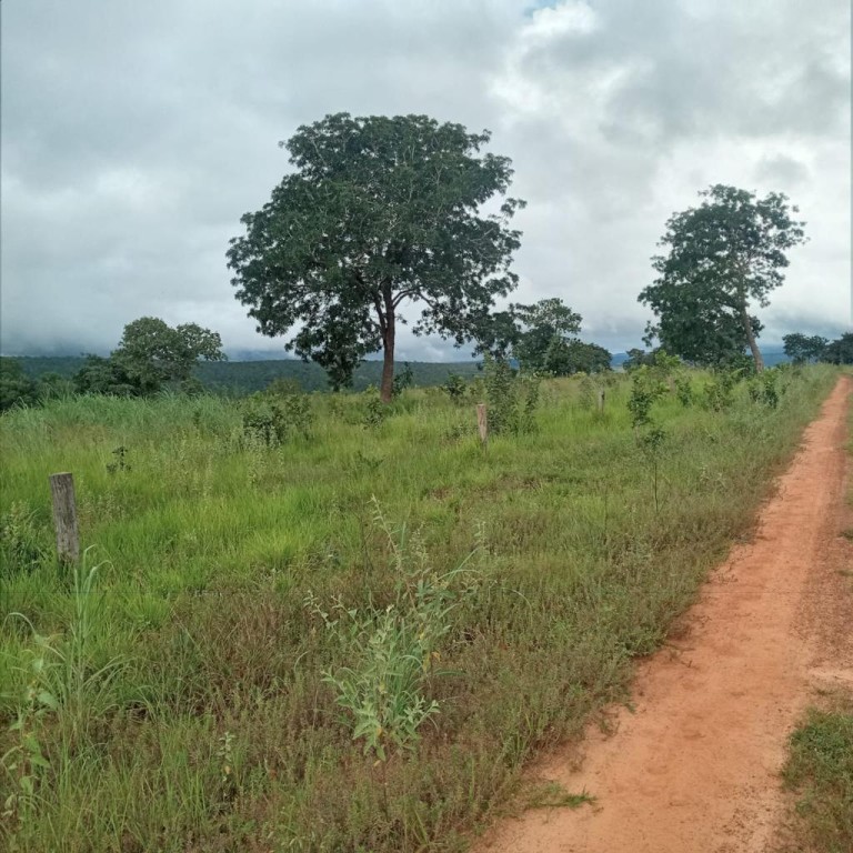 FAZENDA DE 2.000 HA NO MATO GROSSO