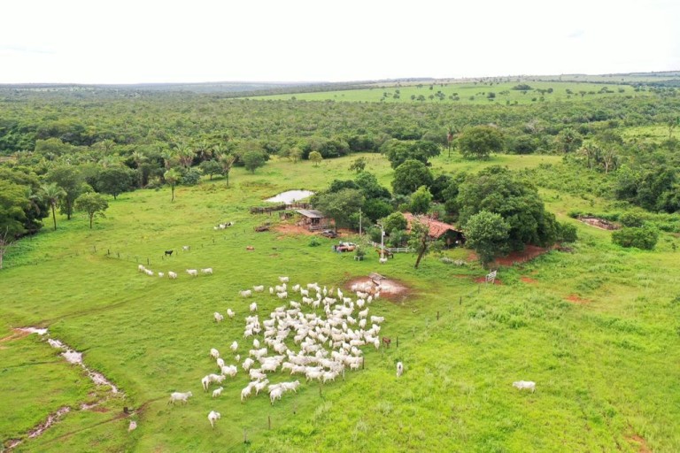 FAZENDA DE 2.000 HA NO MATO GROSSO