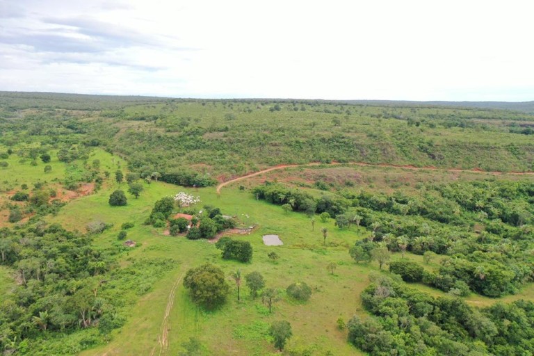 FAZENDA DE 2.000 HA NO MATO GROSSO