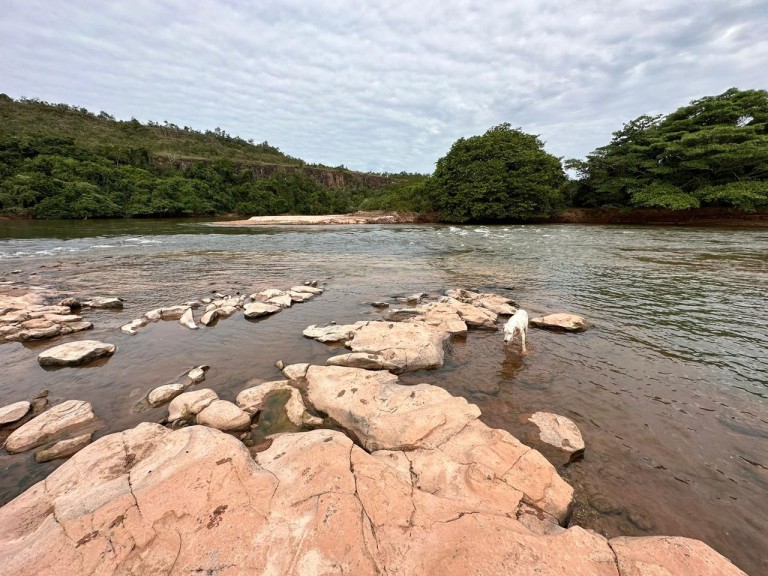 FAZENDA DE 2.000 HA NO MATO GROSSO