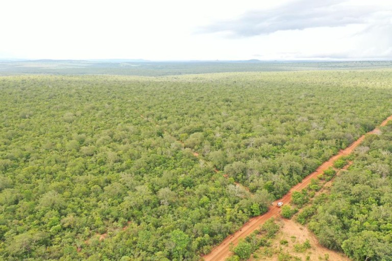 FAZENDA DE 2.000 HA NO MATO GROSSO
