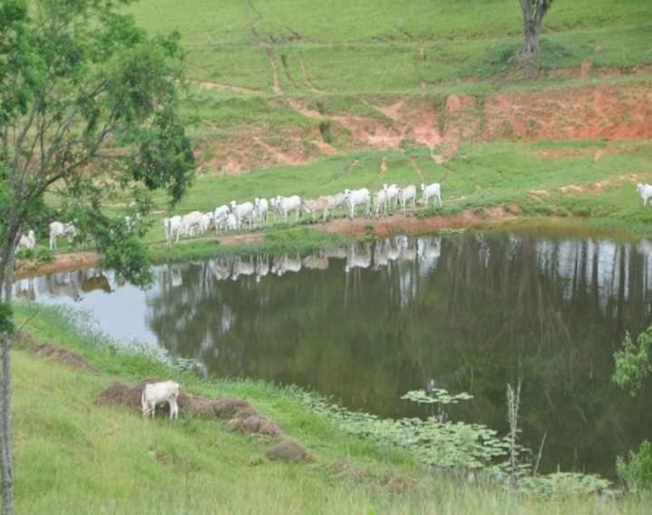 FAZENDA DE 602 ALQUEIRES EM SÃO PAULO