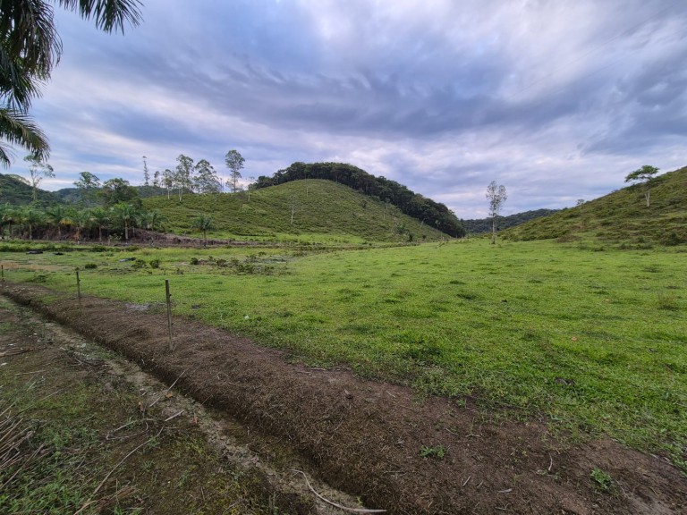 FAZENDA DE 410 HA EM SÃO PAULO