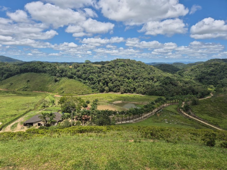 FAZENDA DE 410 HA EM SÃO PAULO