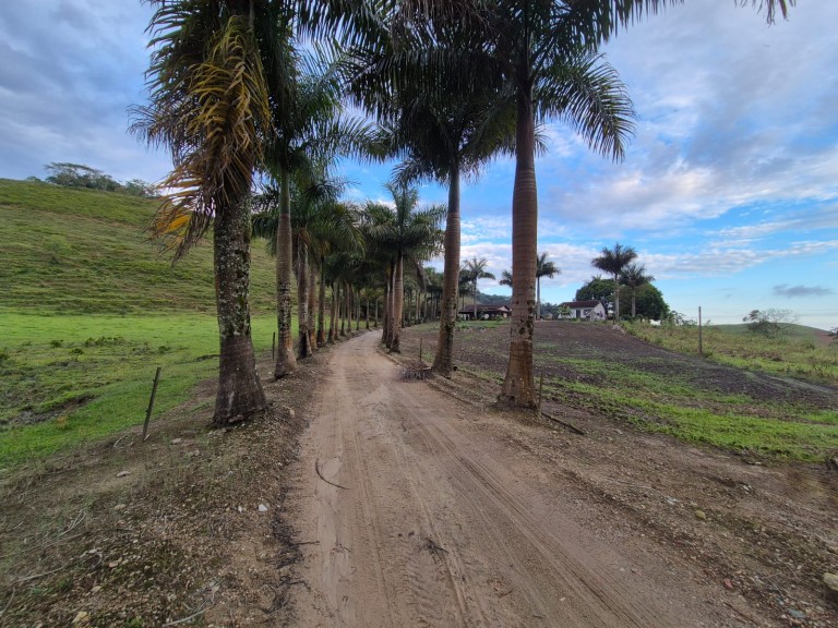FAZENDA DE 410 HA EM SÃO PAULO