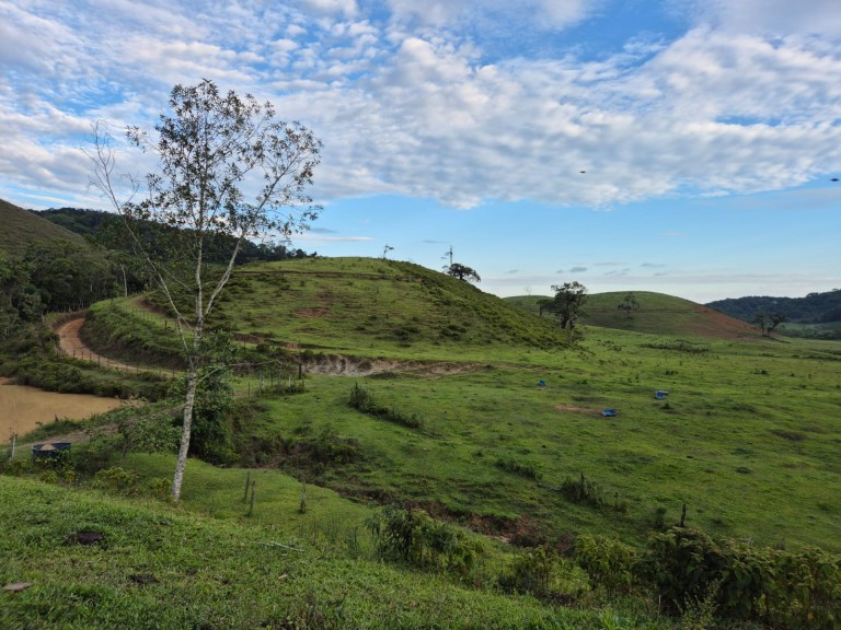 FAZENDA DE 410 HA EM SÃO PAULO