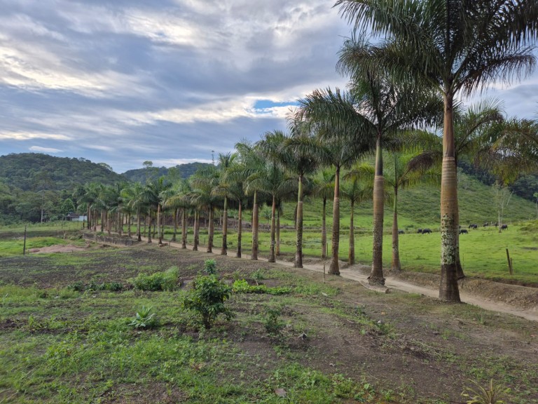 FAZENDA DE 410 HA EM SÃO PAULO