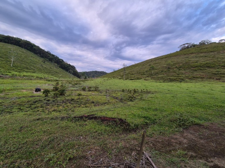 FAZENDA DE 410 HA EM SÃO PAULO