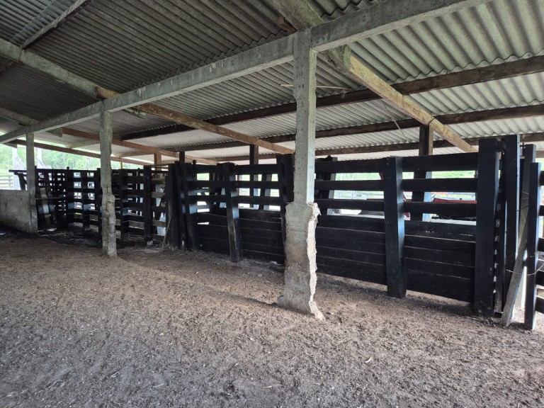 FAZENDA DE 410 HA EM SÃO PAULO