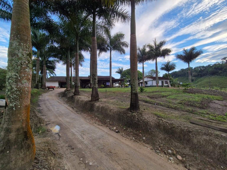 FAZENDA DE 410 HA EM SÃO PAULO