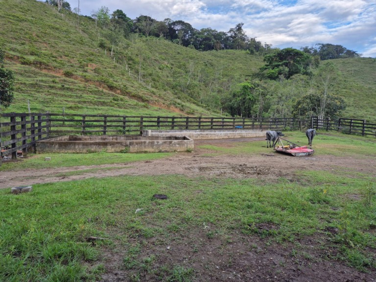 FAZENDA DE 410 HA EM SÃO PAULO