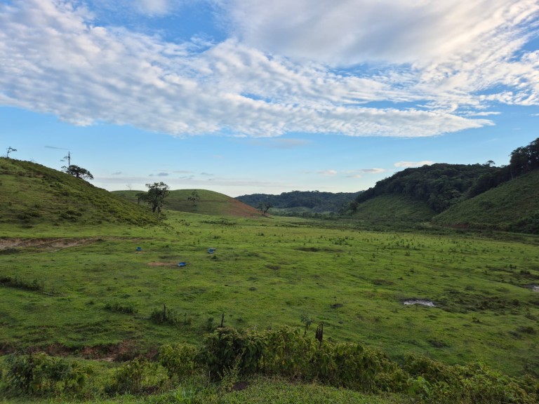 FAZENDA DE 410 HA EM SÃO PAULO