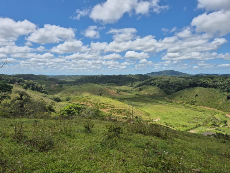 FAZENDA DE 410 HA EM SÃO PAULO