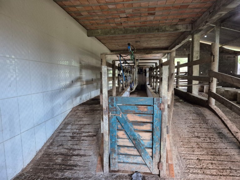 FAZENDA DE 410 HA EM SÃO PAULO