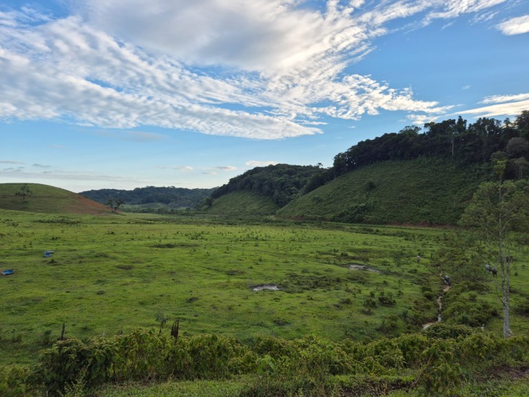 FAZENDA DE 410 HA EM SÃO PAULO