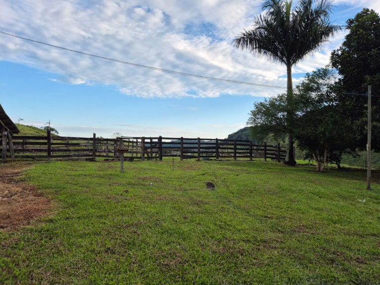 FAZENDA DE 410 HA EM SÃO PAULO