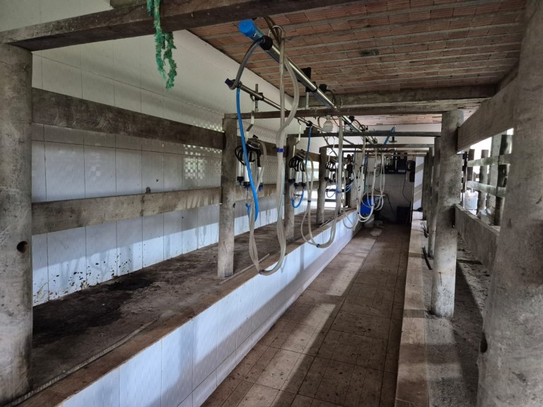 FAZENDA DE 410 HA EM SÃO PAULO